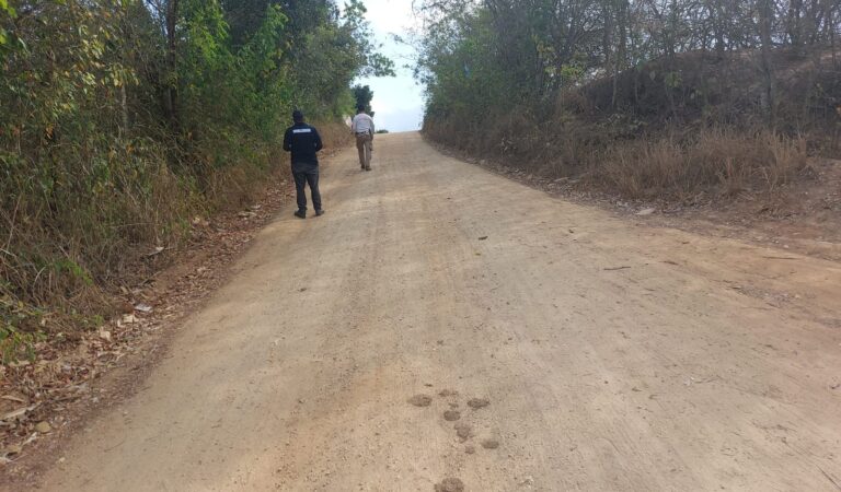 9e4a130a-2d06-473a-8346-db94aa2fc245