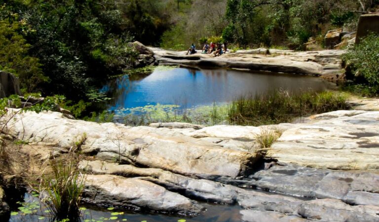 F76EDD29-4450-4134-BD53-4B02DAA1B3E0