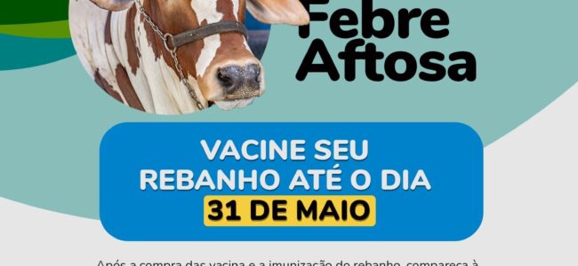 WhatsApp Image 2023-05-22 at 16.44.58