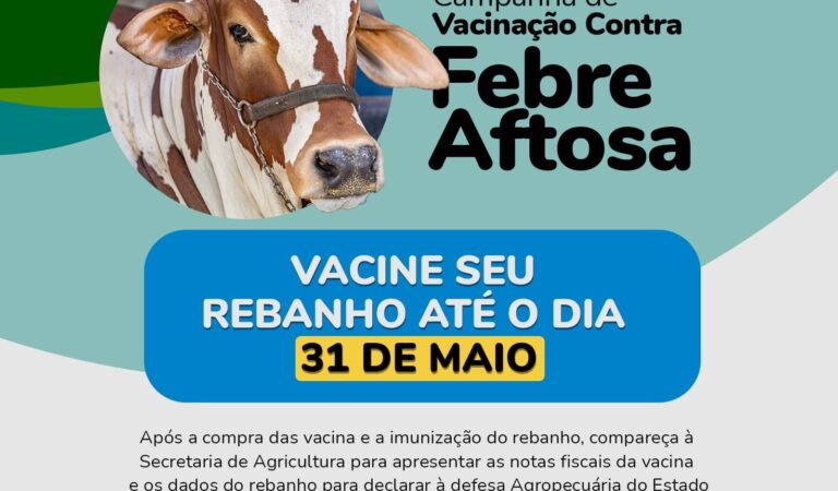 WhatsApp Image 2023-05-22 at 16.44.58