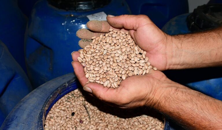 WhatsApp Image 2023-11-24 at 09.33.23