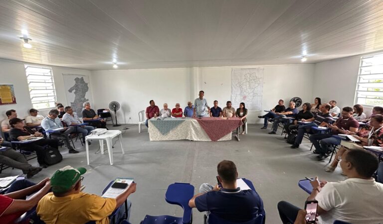 WhatsApp Image 2025-01-31 at 08.51.31