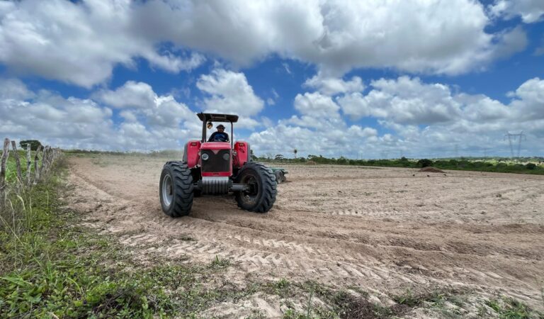 WhatsApp Image 2025-03-13 at 11.47.09