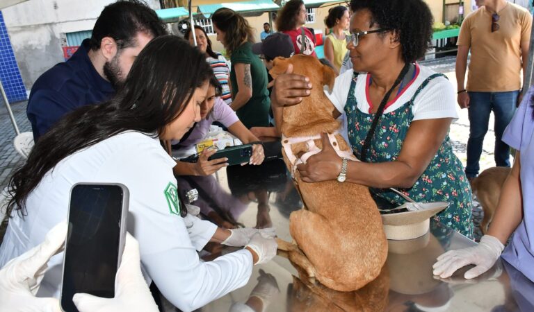 WhatsApp Image 2025-04-26 at 09.15.16