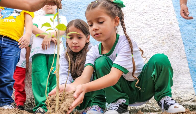 WhatsApp Image 2025-06-05 at 13.13.46