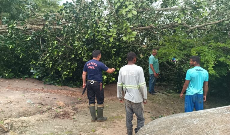 WhatsApp Image 2025-06-11 at 14.45.10 (1)