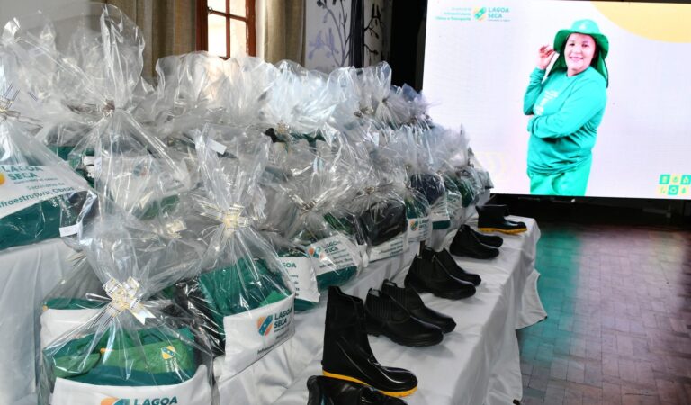 WhatsApp Image 2025-07-21 at 15.33.01