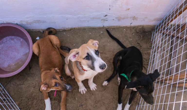 WhatsApp Image 2025-08-30 at 11.10.43 (1)