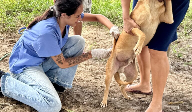 WhatsApp Image 2025-09-22 at 13.07.07