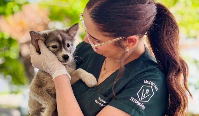 WhatsApp Image 2025-09-29 at 09.05.36 (3)