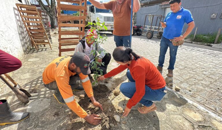 WhatsApp Image 2026-04-09 at 14.52.05 (1)