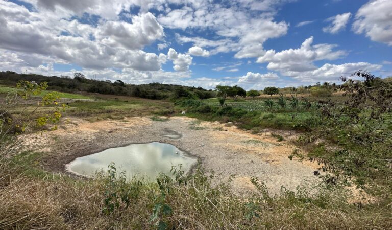 c1e3e3e6-0f2e-4617-889c-874120552793